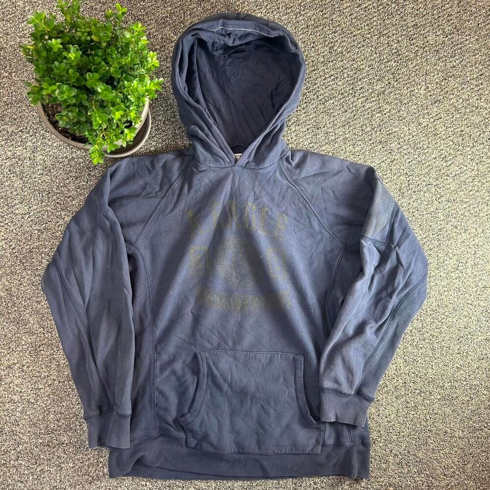 American-eagle-outfitters Men's Hoodie